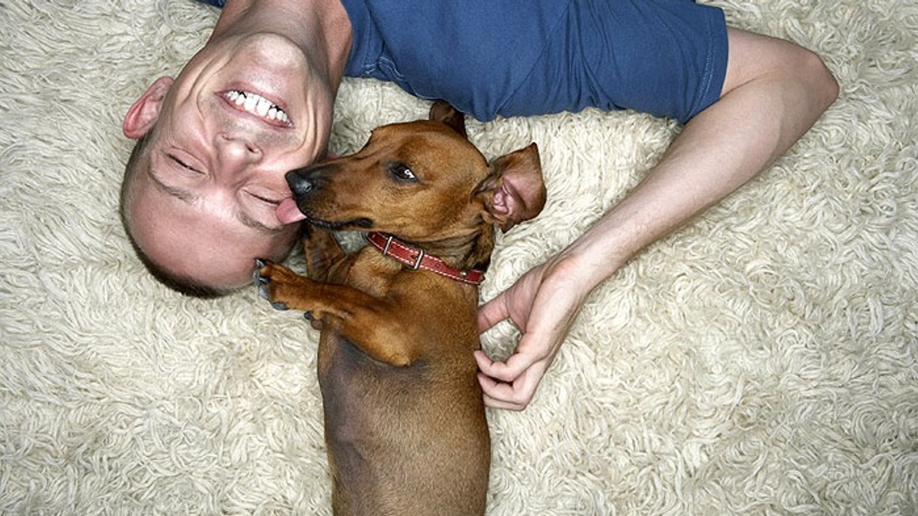 Seznámení se se psy