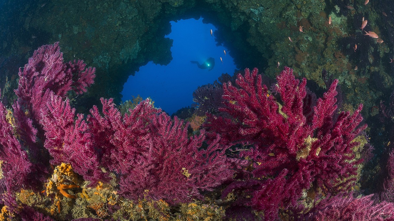 Chorvatské pobřeží