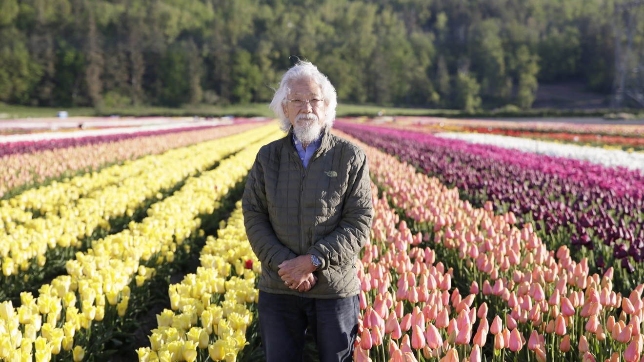 Barvy v našem životě