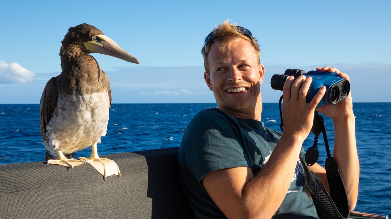 Delfíni zblízka s Bertiem Gregorym