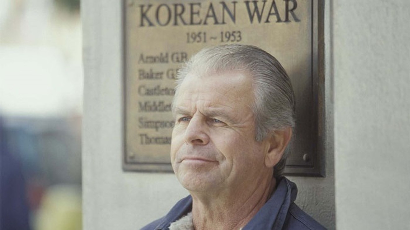 Vánoční návštěvník