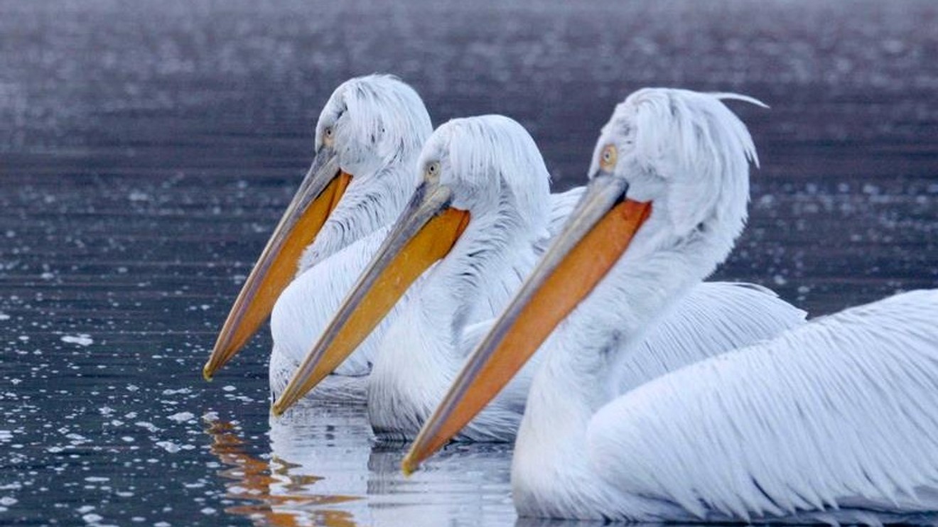 Tajemná krása Evropy