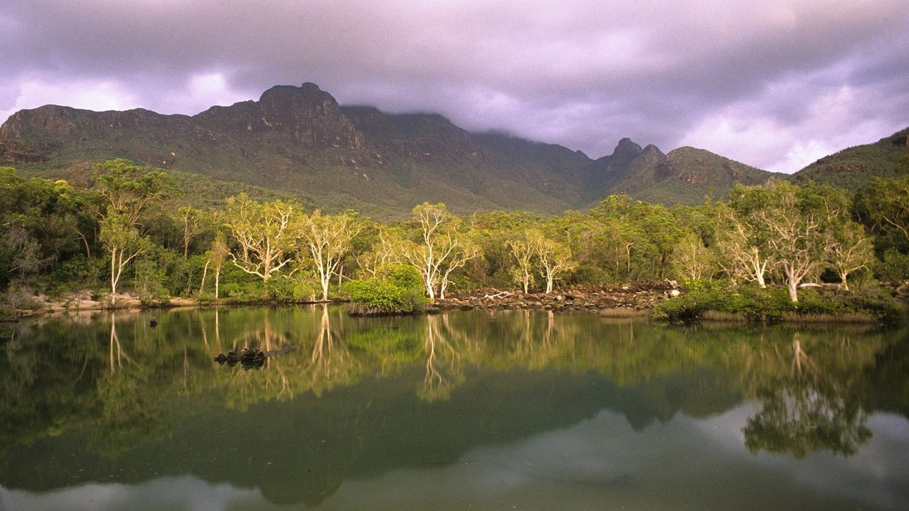Divoké lesy Austrálie