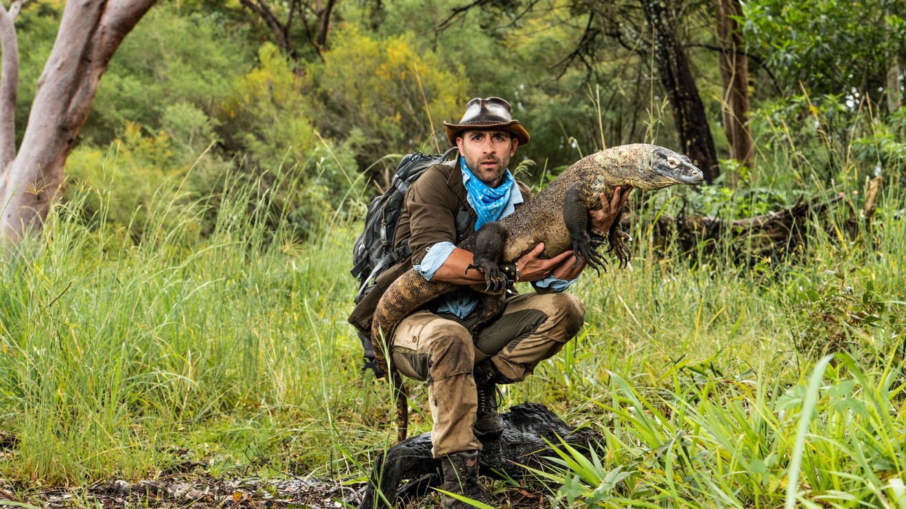 Projekt Kojota Petersona