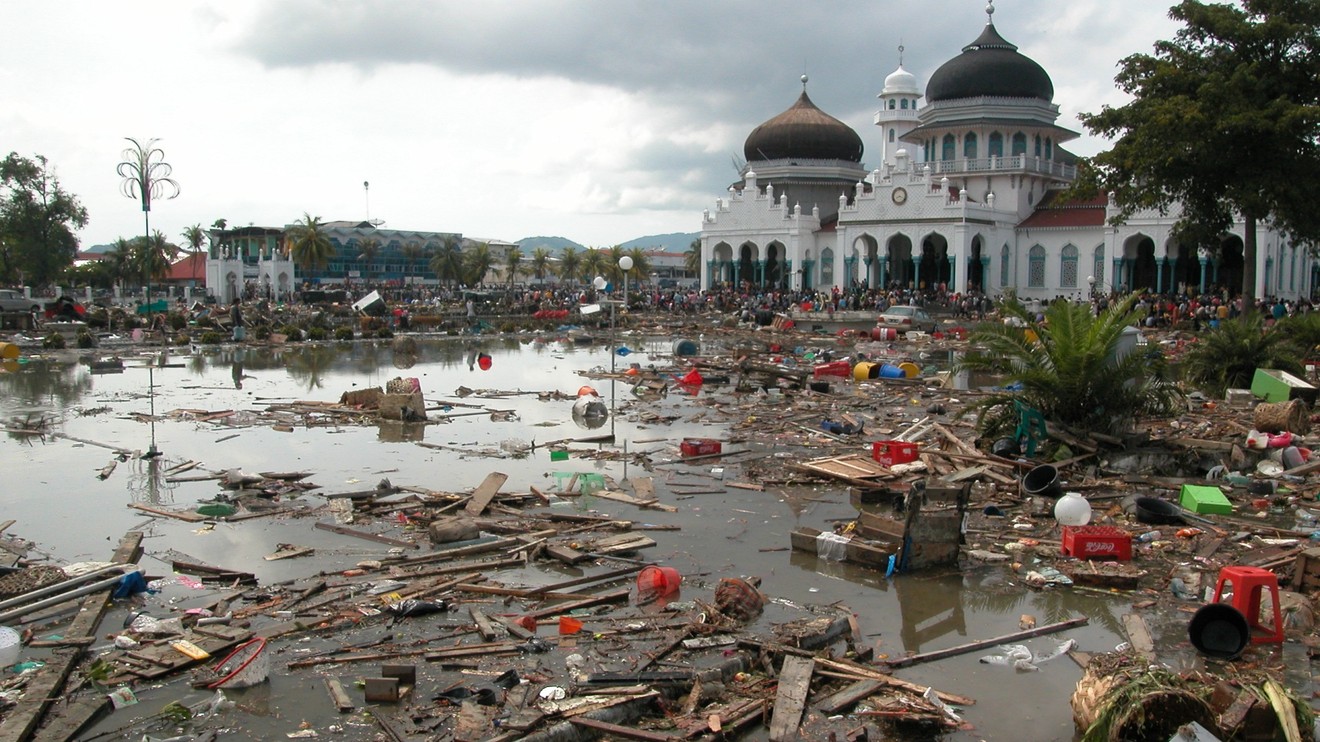 Tsunami: Race Against Time