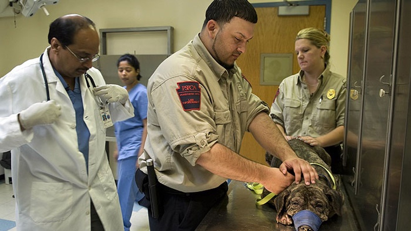 Animal Cops: Philadelphia