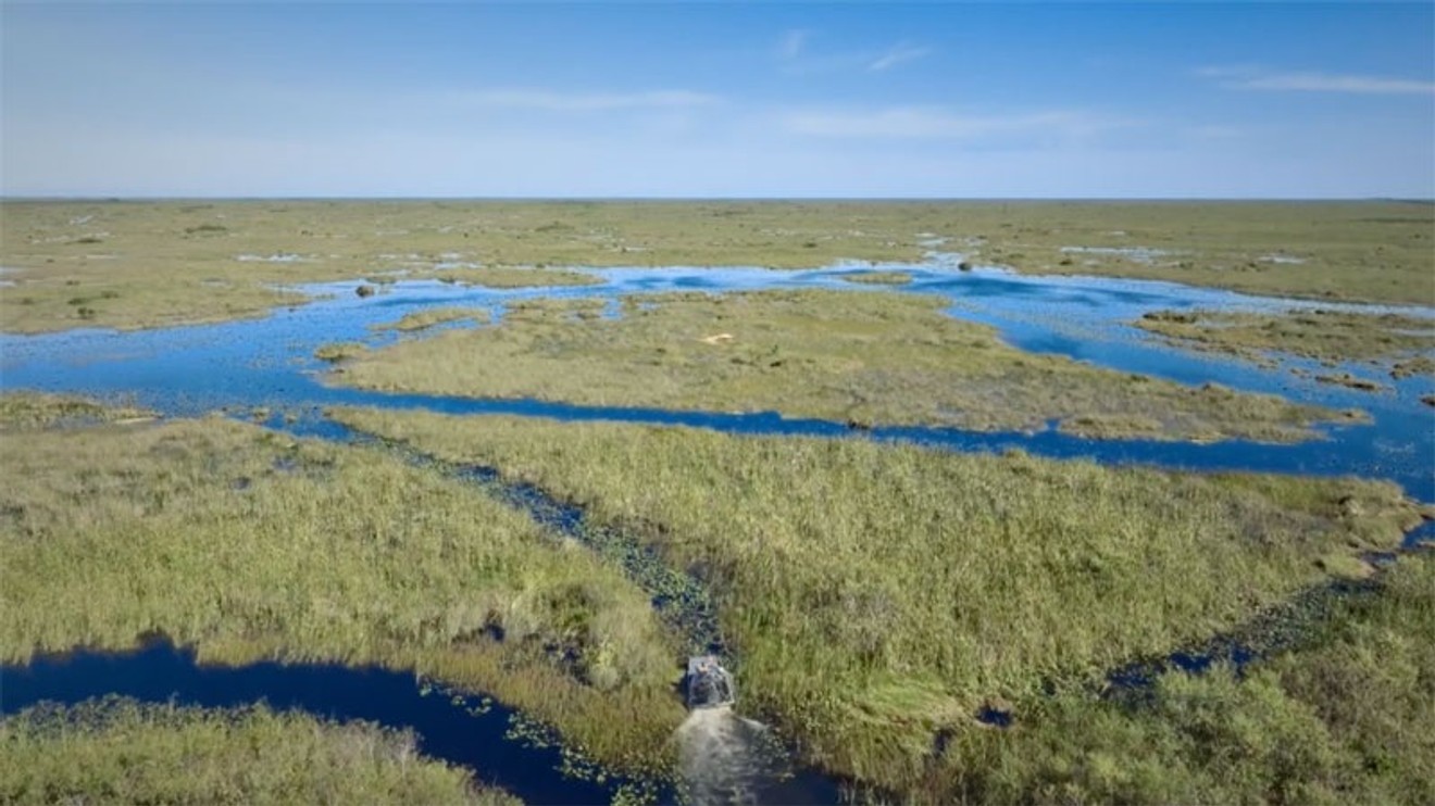 Wetlands: Ephemeral Sanctuaries