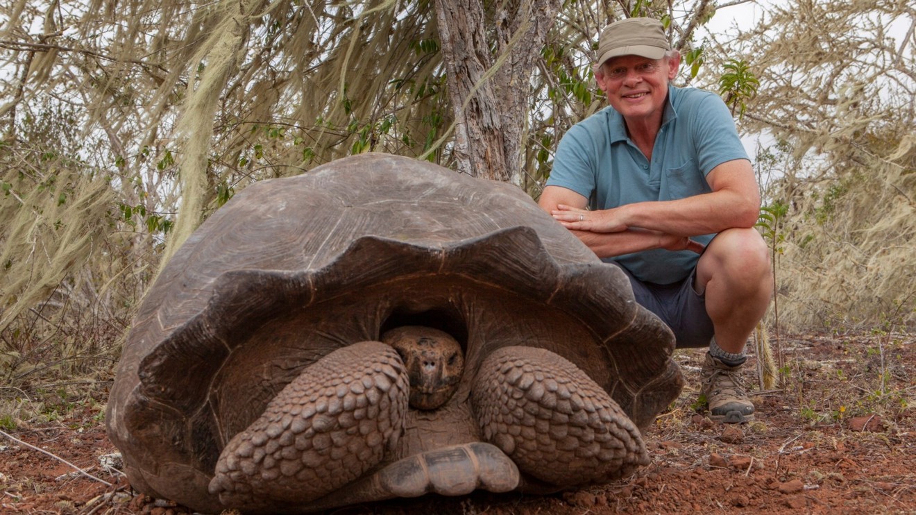 Tichomořské ostrovy