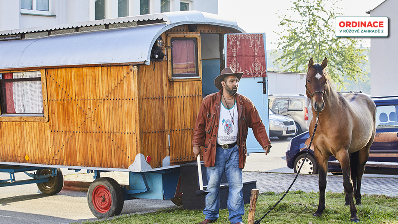 Ordinace v růžové zahradě 2