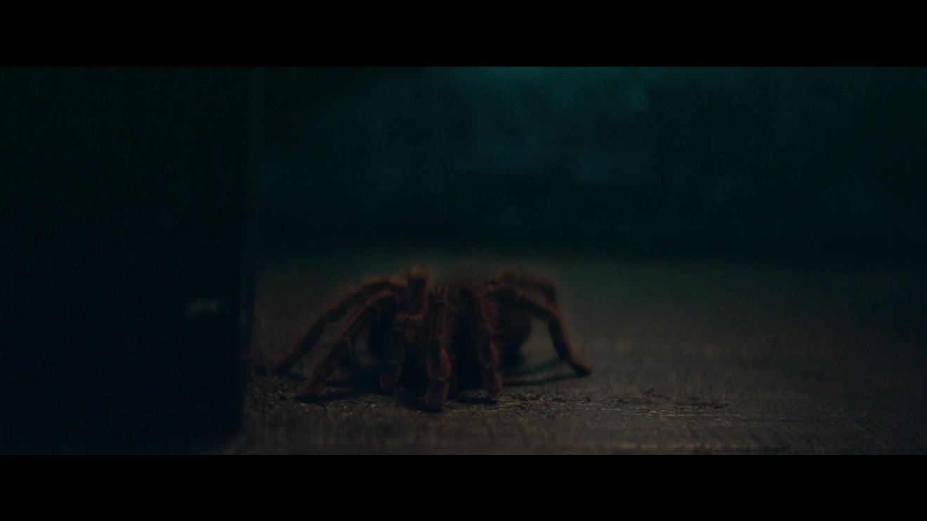 2. díl - Bojuj se stříbrem