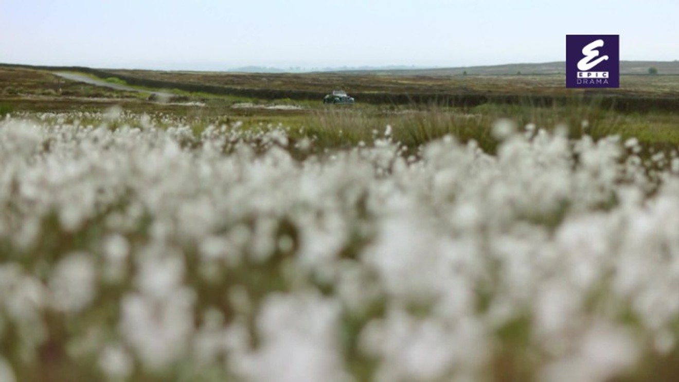 Všechny velké a malé bytosti