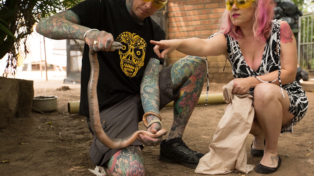 Snakes in the City