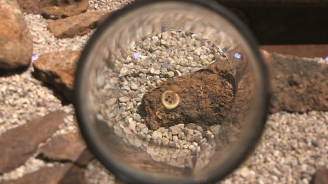 Perleťový knoflík