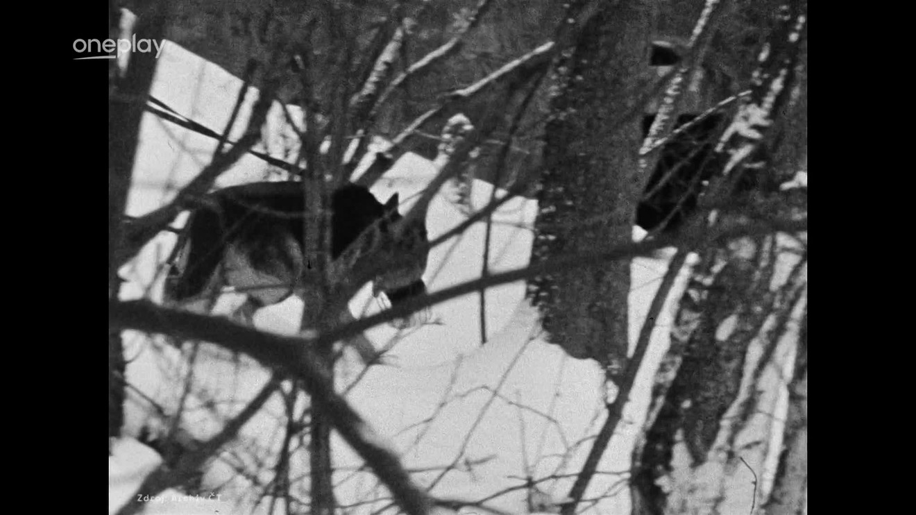 1. díl - Z obvodu na vraždy