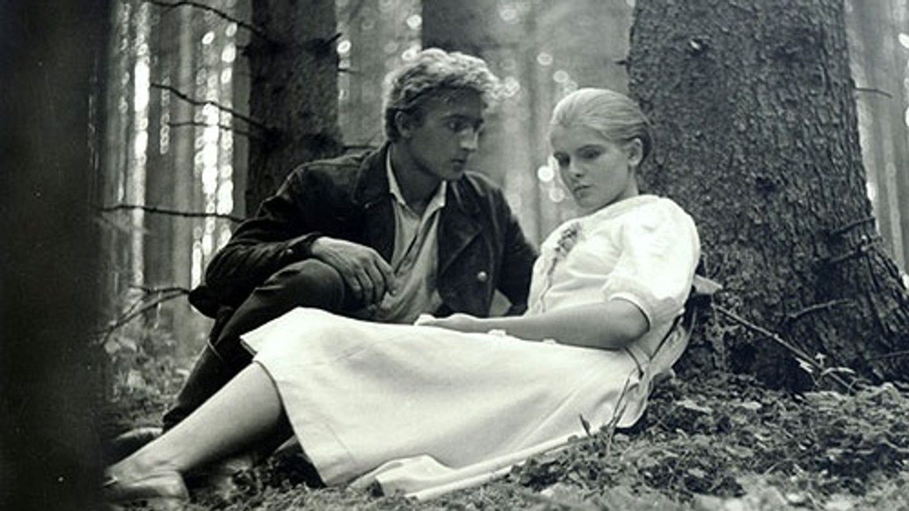 Tri gaštanové kone