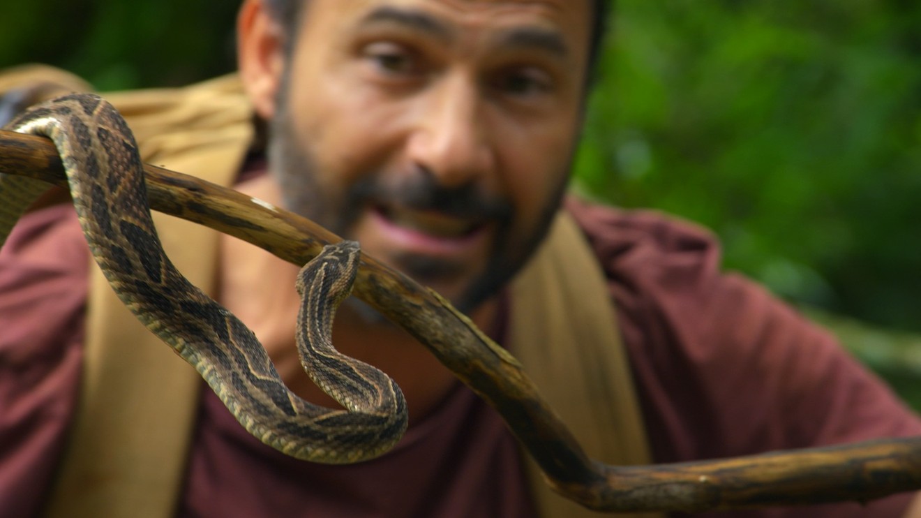 Primal Survivor: Over the Andes