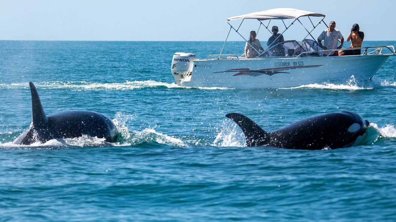 Ningaloo: Australský ráj