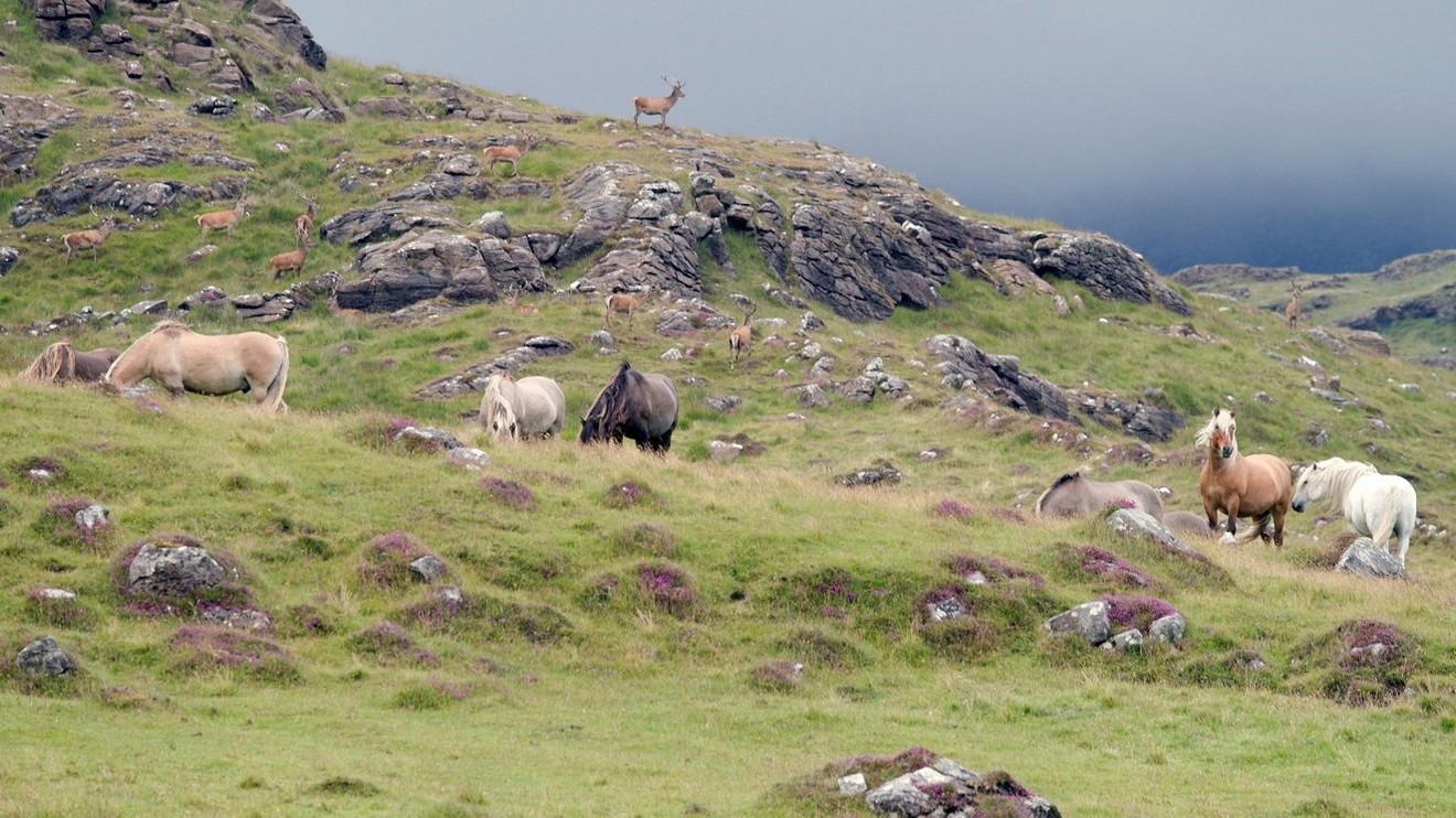 Neobyčejný ostrov Rum