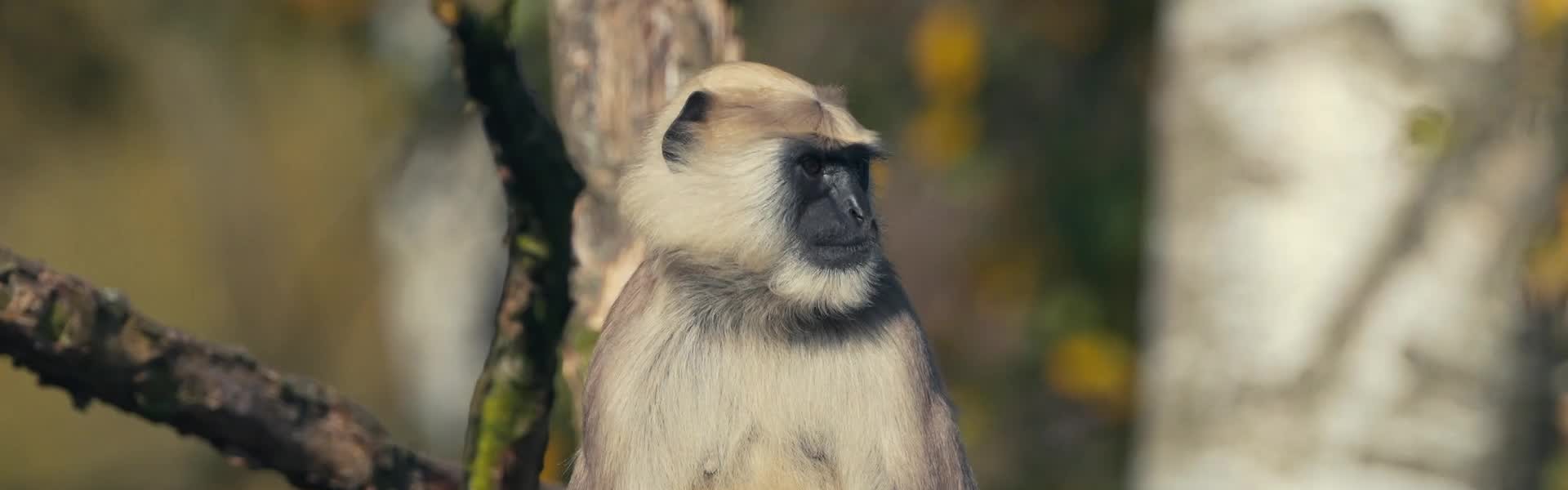  Na chvíli na Zemi Ochrana zvířat bez hranic W009493