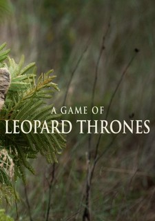 A Game of Leopard Thrones