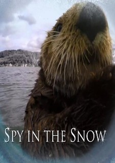 Špioni na sněhu