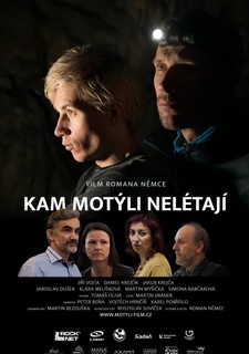 Kam motýli nelétají