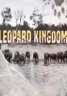 Království levhartů