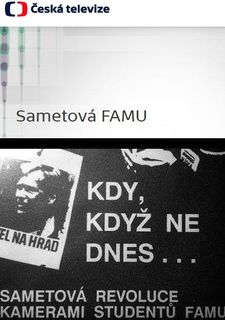 Sametová FAMU, Den boje za svobodu a demokracii