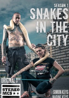 Snakes in the City