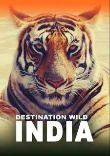 Destination Wild: India