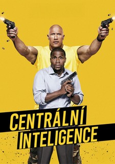 Centrální inteligence