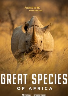 Velkolepá zvířata Afriky