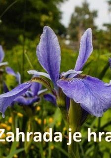 Zahrada je hra