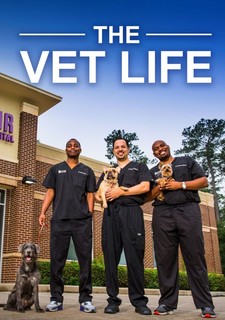 Život veterináře