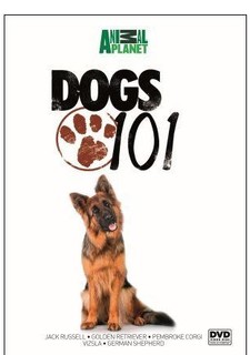 Seznámení se se psy