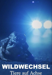 Zvířecí přechody