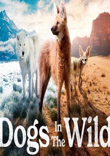 Psi v divočině: Seznamte se