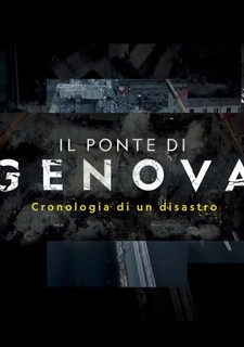 Zřícení mostu v Janově