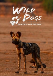Wild Dogs: Running With The Pack