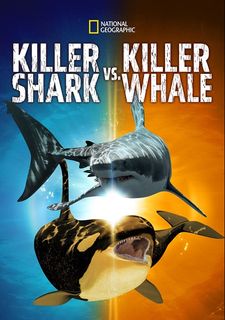 Kosatka versus žralok zabiják