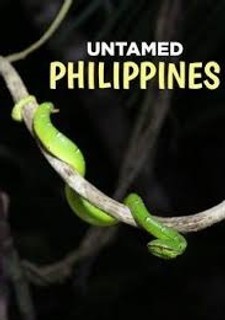 Nezkrocené Filipíny