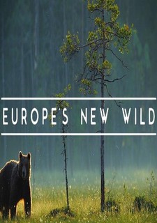 Nová divočina Evropy