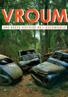 Automobile: Rise and Fall