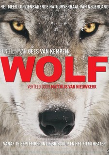 Vlk: Tulák bez hranic