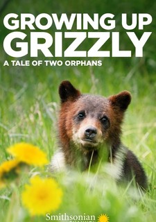 Dospívání grizzlyho: Příběh dvou sirotků