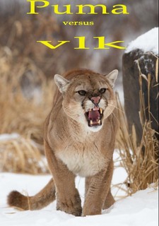 Puma versus vlk