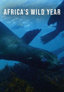 Africa's Wild Year