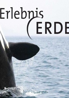 Pantanal, brazilský přírodní zázrak