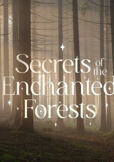 Záhady kouzelných lesů