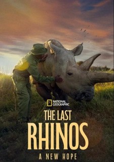 Poslední z nosorožců: Nová naděje